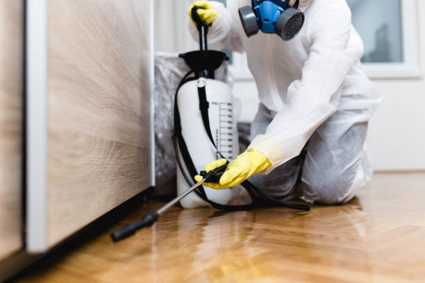 Best Pest Removal Services  in Middlebranch, OH