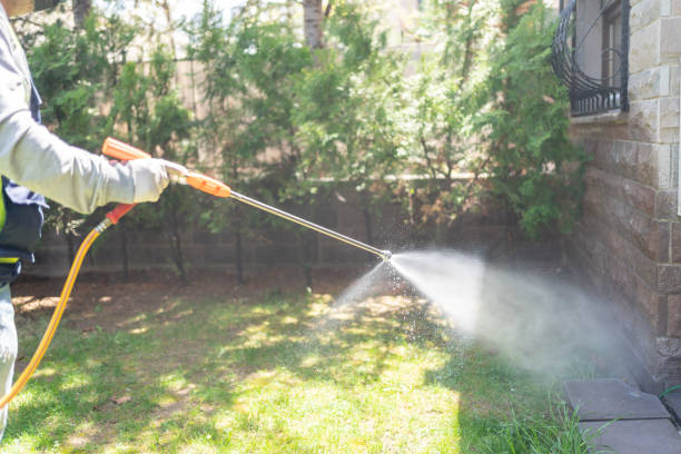 Best Best Pest Control Companies  in Middlebranch, OH