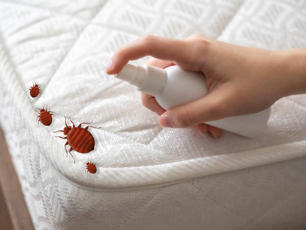 Best Residential Pest Control  in Middlebranch, OH