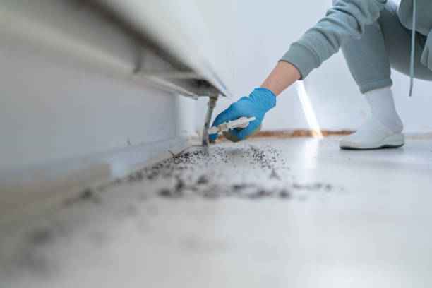 Professional Pest Control in Middlebranch, OH